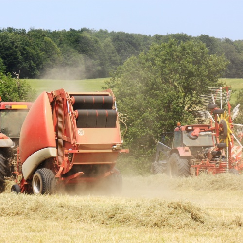 Hay and silage